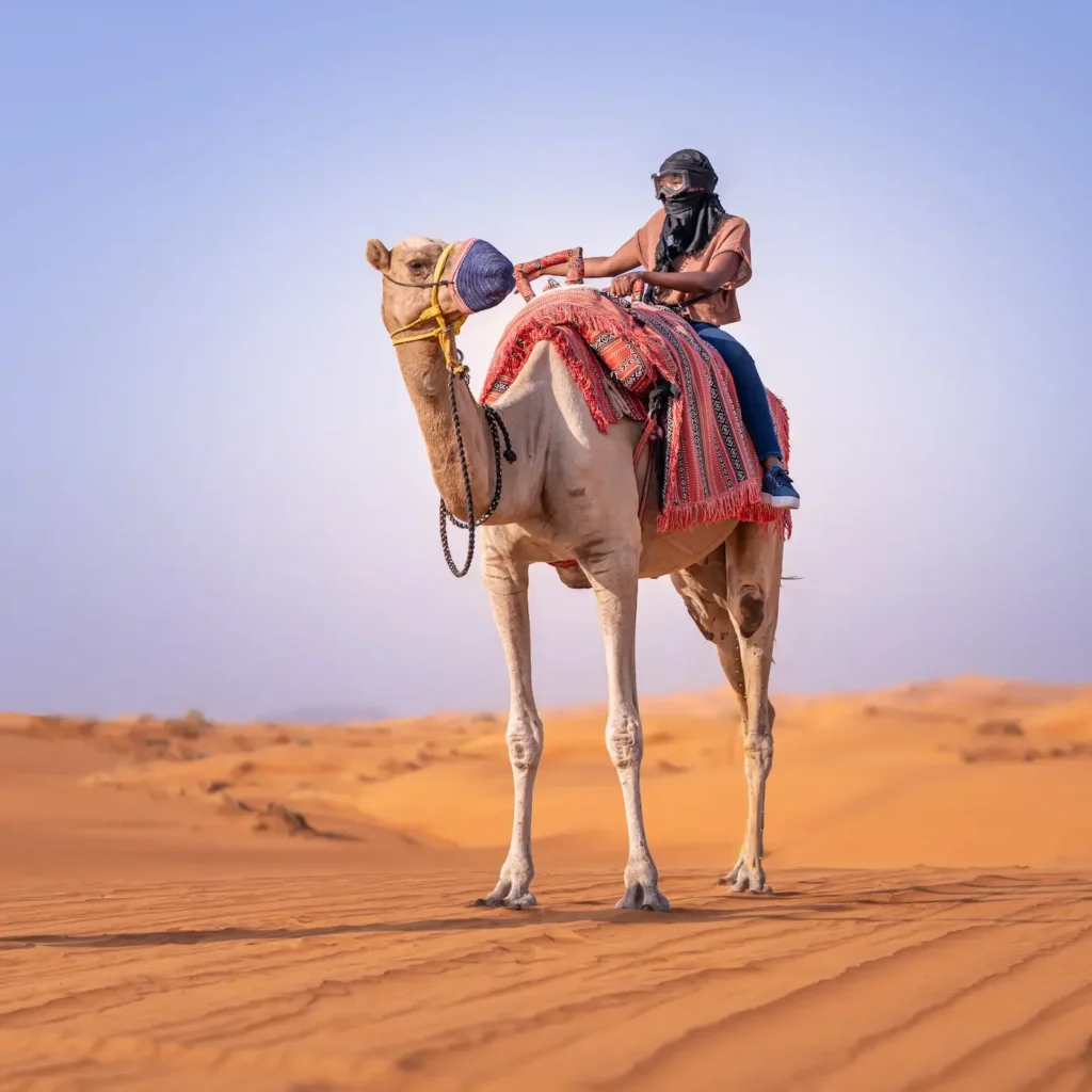Person riding a camel in a safari desert in Dubai