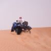 Luxury Desert Safari + Quad ride (1 hour) - Image 14